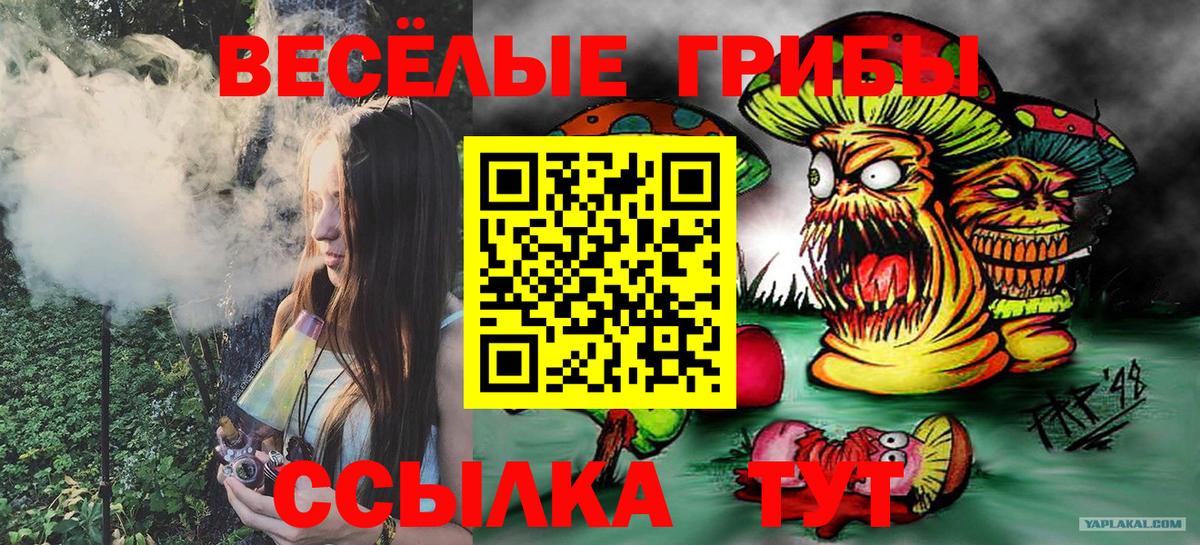 LSD-25  ГАШ  Cocaine  Меф кристаллы  Кировск  Альфа ПВП СК   Марихуана  Вход с VPN  Купить наркотики  МАРИХУАНА 