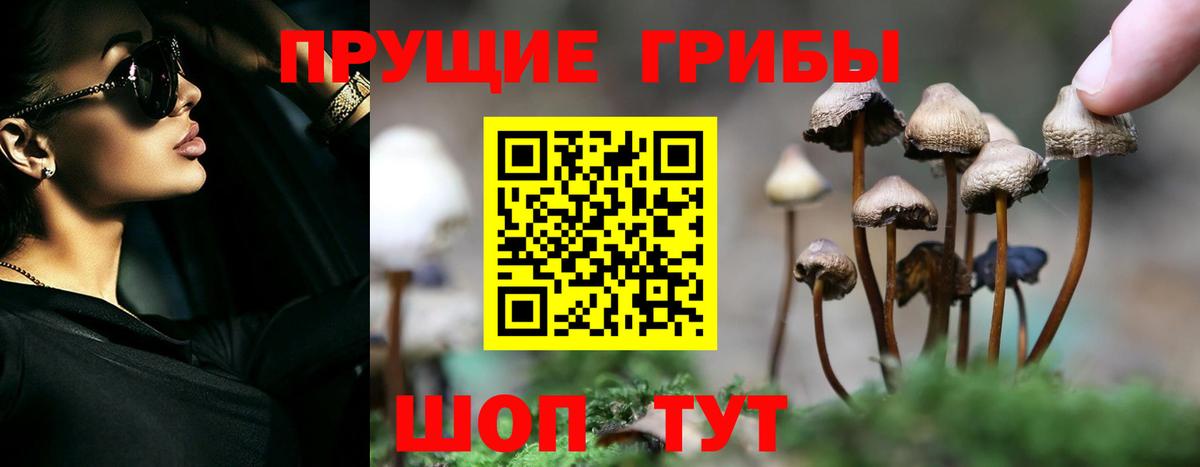 Галлюциногенные грибы прущие грибы  Галлюциногенные грибы MAGIC MUSHROOMS  Кировск  Вход с VPN 